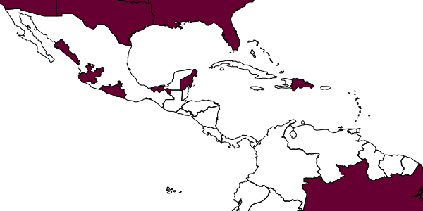 map of Encarsia tabacivora     Viggiani, 1985